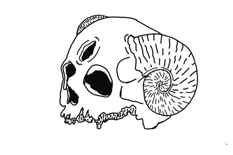 Demon Skull Line Art With Transparent Background 24036544 Png