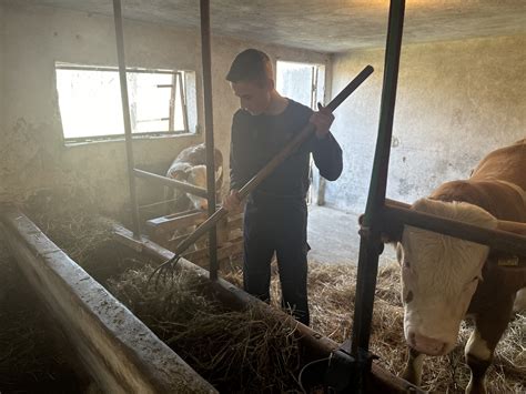 On Je Najmla I Farmer U Srbiji Zoran Iz Je Evice Ima Samo Godina