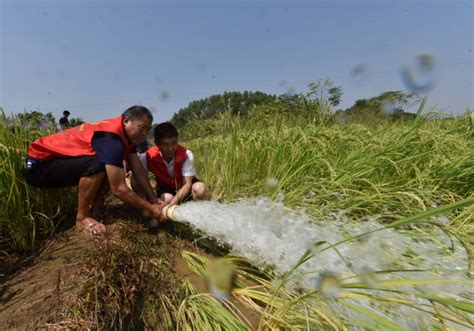 抗旱系列评三湘时评 新湖南