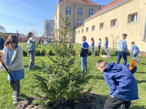 Wsp Lne Sadzenie Drzew Z Udzia Em Dzieci Wraz Z Prezydentem Elbl Ga