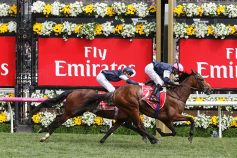 Melbourne Cup 2018 Field Tips Horses Odds Winners