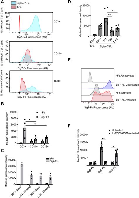 The Glycoimmune Checkpoint Receptor Siglec Interacts With T Cell