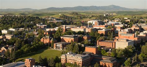 coming  wsu wsu international washington state university