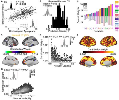 Functional Topography Evolves With Age In Youth And Predicts Unseen