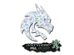 Sticker Team Spirit Glitter Antwerp Cs Items