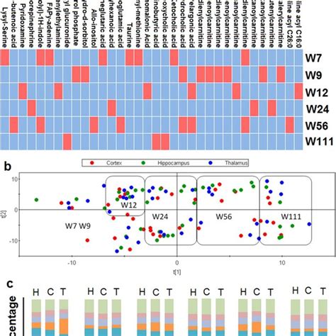 Regional Variation Of Brain Metabolome And Comparison Between Age And Download Scientific