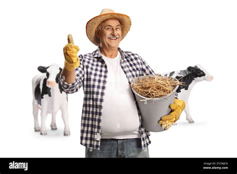 Mature Farmer With Cows Holding A Bucket Full Of Hay And Gesturing