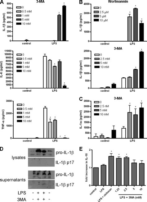 The Autophagy Inhibitors 3 Ma And Wortmannin Induce Endotoxin Dependent