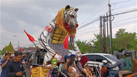 Kirab Apitan Sedekah Bumi Desa Gebangan Tegowanu 2024 Bersama