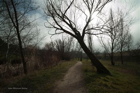 Instantes Fotos De Sebasti N Navarrete Bosque Sur Y Parque De