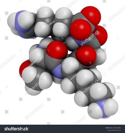 Tuftsin Tetrapeptide Molecule 3d Rendering Atoms Stock Illustration