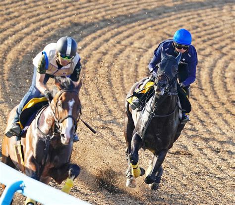 併せて追い切る岩田望騎乗のイルーシヴパンサー（右）（撮影・西川祐介） ― スポニチ Sponichi Annex ギャンブル