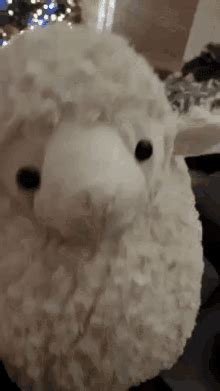 Sheep Dance GIFs | Tenor