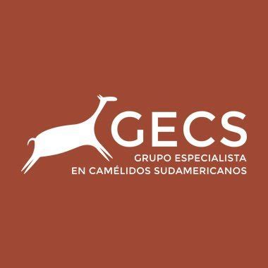 Grupo Especialista en Camélidos Sudamericanos IUCN GrupoGecs Twitter