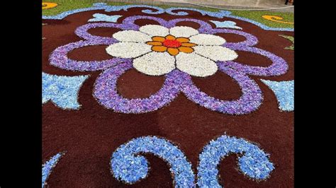 Alfombras Florales Flower Carpets Corpus Christi En Ponteareas