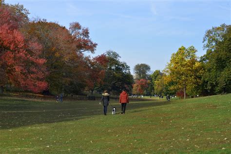 Enjoy Fall Foliage in Prospect Park - Prospect Park Alliance