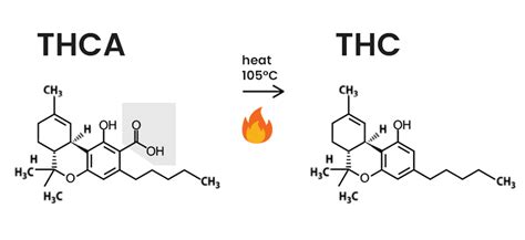 Thca Vs Thc What S The Difference