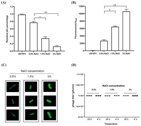 Detection Of Vp Adsorption Of V Cholerae Cultured In Different Salt