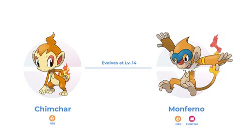 Pokemon Evolution Level Chart