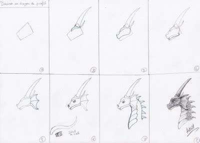 comment dessiner  dragon