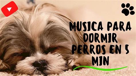 MUSICA Para Dormir PERROS En 5 MINUTOS FUNCIONA