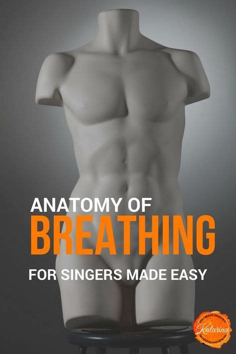 Anatomy Of Breathing For Singers Made Easy Artofit