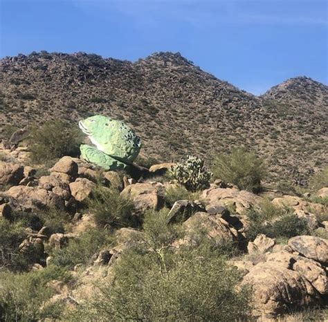 Frog Rock In Congress Az