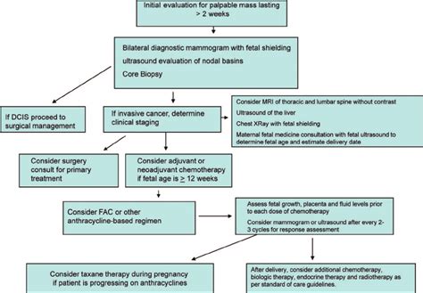 Evaluation And Management Of Breast Cancer During Pregnancy