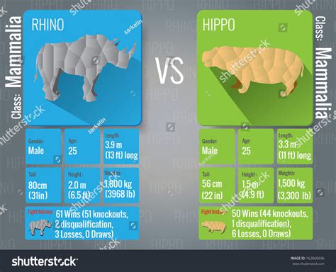 Animals Battle Template Rhino Vs Hippo Stock Vector 162860696 - Shutterstock