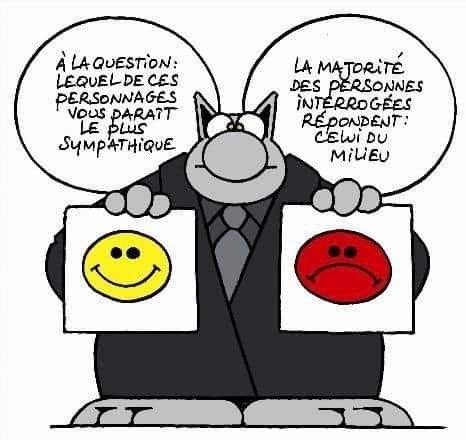 Pin by Michèle Mandeville on Le chat geluck Funny french Funny