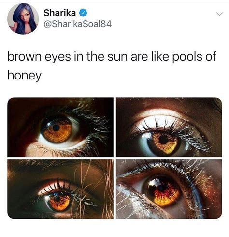 Thirty Random Memes Perfect For Mindless Browsing Pretty Brown Eyes