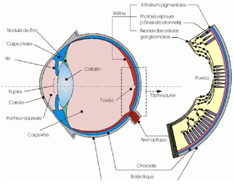 Cours D Optique G Om Trique Chapitre