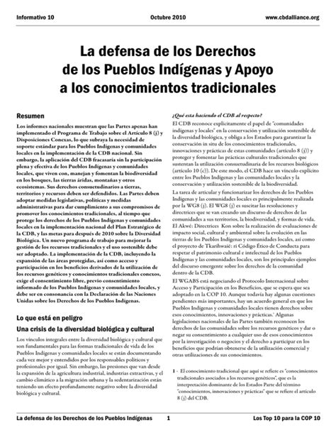 La Defensa De Los Derechos De Los Pueblos Ind Genas Y El Apoyo A Los