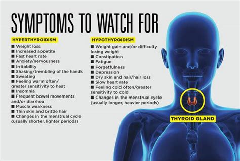 Thyroid Hyperthyroidism And Hypothyroidism Eands Doctors