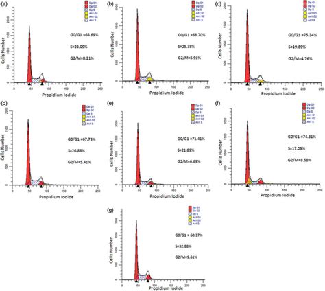 Cell Cycle Analysis For A375 Cell Line A Cells Treated With 30 MM UA