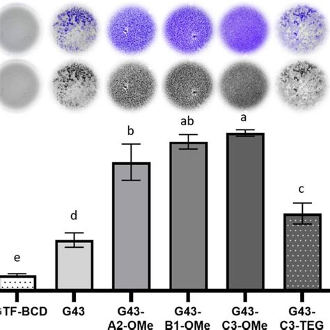 Crystal Violet Biomass Assay With Wild Type S Mutans Biofilms Treated Download Scientific