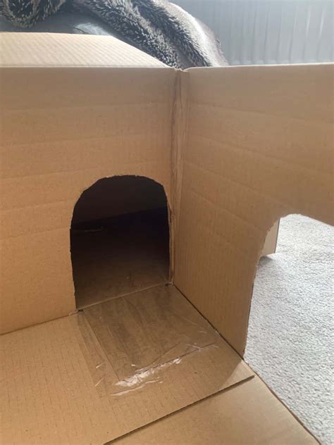 Easy Diy Cardboard Cat House Tutorial Totally Purrfect