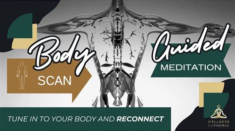 Body Scan Guided Meditation To Tune In To Your Body And Reconnect With