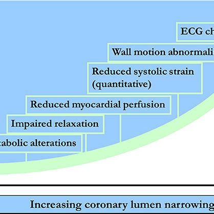 Temporal Sequence Of Events In Terms Of Metabolic Myocardial