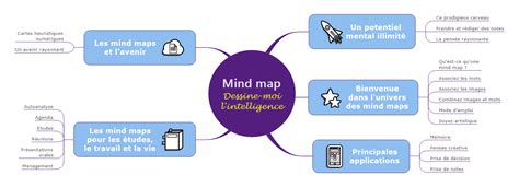 MapSommaire Mind Map Dessine Moi L Intelligence