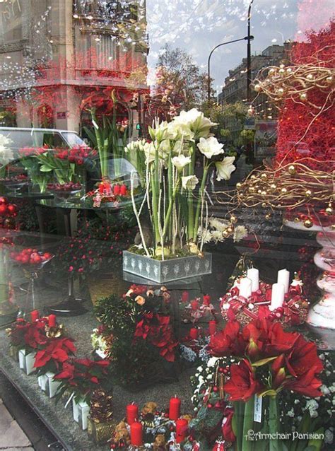 Pin By Carolyn Malin On A French Christmas Amazing Flowers Flower