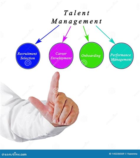 Diagrama De La Gesti N Del Talento Imagen De Archivo Imagen De