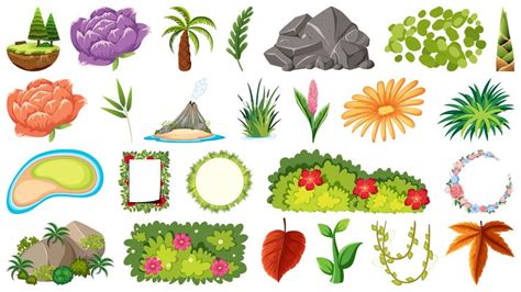 Set Of Ornamental Plants 589400 Vector Art At Vecteezy