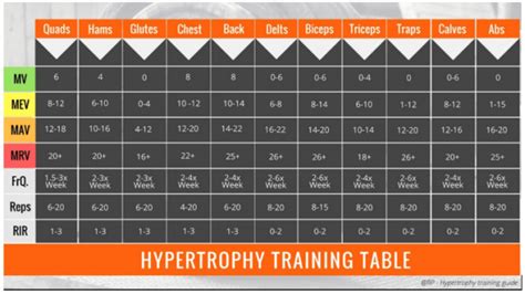 Volumen De Entrenamiento Para Hipertrofia Trainologym