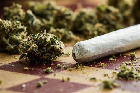 Onu La Marihuana Es La Droga Recreativa M S Popular Del Mundo