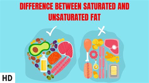 Difference Between Saturated And Unsaturated Fat Youtube