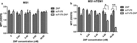 TEM1 Targeted Drug Delivery By ScFv78 A Mouse Endothelial Cell Line