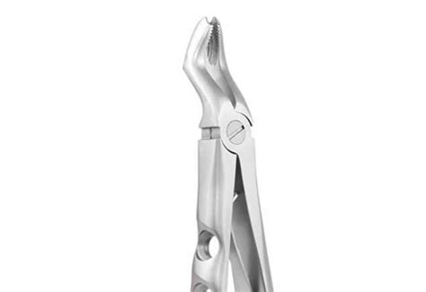 GDC EXTRACTION FORCEPS PEEDO PREMIUM UPPER MOLAR FX6CP