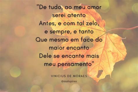 Poema de amor para namorada 10 opções para se declarar