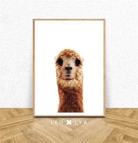 Alpaca Print Llama Wall Art Nursery Farm Decor Farmhouse Etsy Llama Wall Art Wall Art